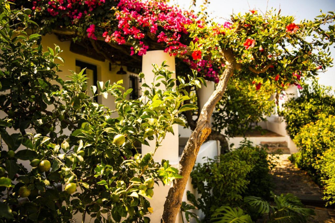 Hotel Signum Malfa  Esterno foto